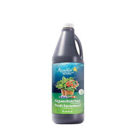 Acadie Fresh Seaweed Concentrate 0.6-0-6 - Image 4