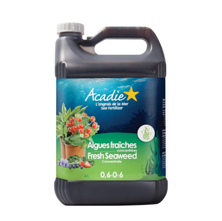 Acadie Fresh Seaweed Concentrate 0.6-0-6 - Image 5