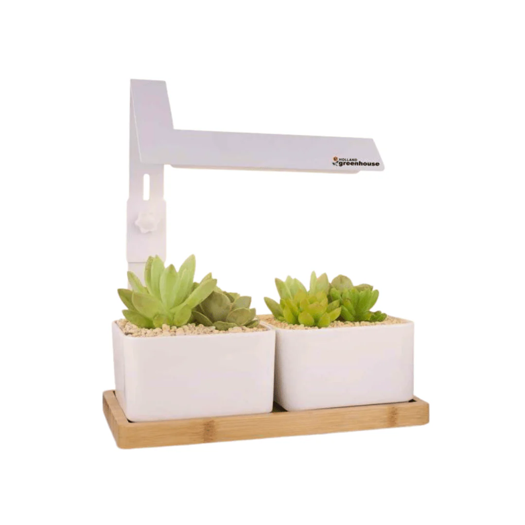 Holland Greenhouse LED Bamboo Tray Grow Light - Image 3