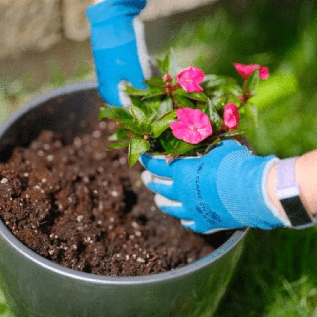 Pro-Mix Root Booster 5-15-5 - Image 4